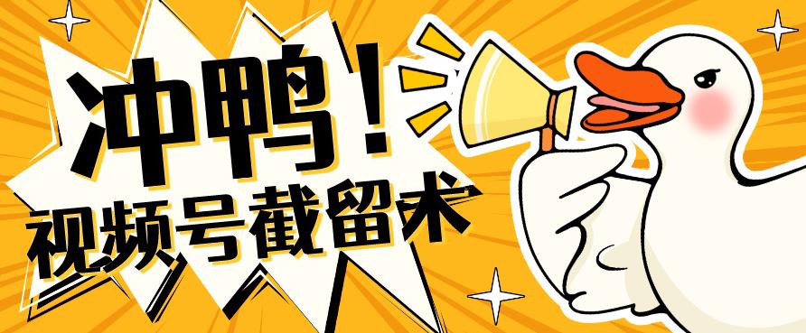 全球首发-视频号无限截留术-你不知道的流量沃土-林文副业站