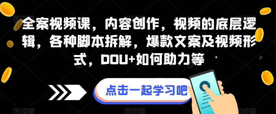 全案视频课，内容创作，视频的底层逻辑，各种脚本拆解，爆款文案及视频形式，DOU+如何助力等-林文副业站