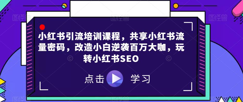 小红书引流培训课程，共享小红书流量密码，改造小白逆袭百万大咖，玩转小红书SEO-林文副业站