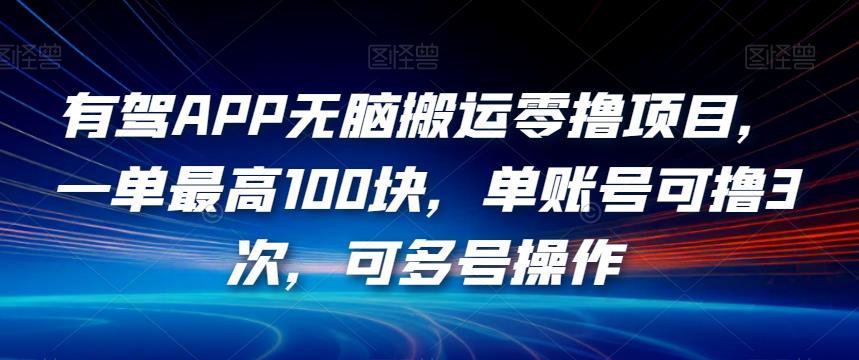 有驾APP无脑搬运零撸项目，一单最高100块，单账号可撸3次，可多号操作【揭秘】-林文副业站