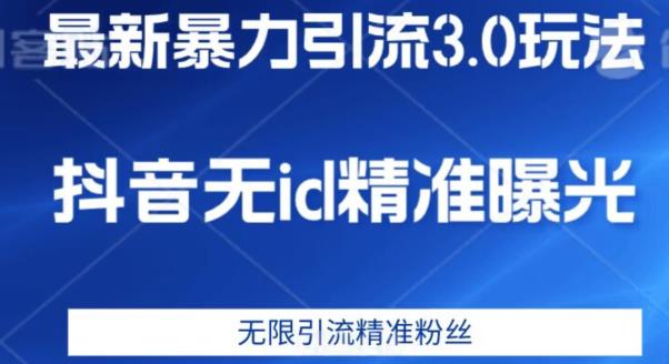最新暴力引流3.0版本，抖音无id暴力引流各行业精准用户-林文副业站