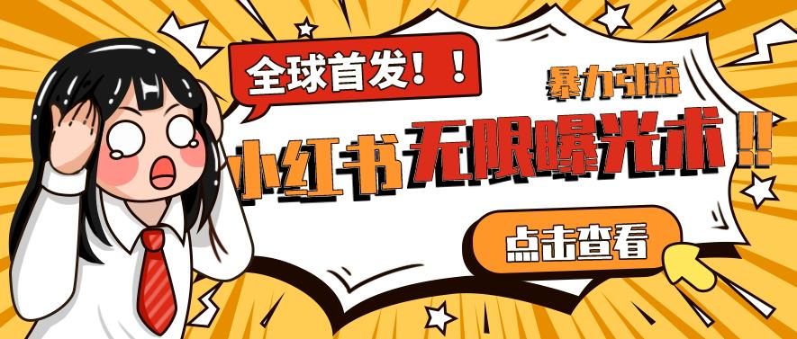 全网首发-小红书无限曝光术pro版全领域粉丝精准拿下-林文副业站