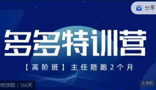 纪主任·多多特训营高阶班【9月13日更新】，拼多多最新玩法技巧落地实操-林文副业站