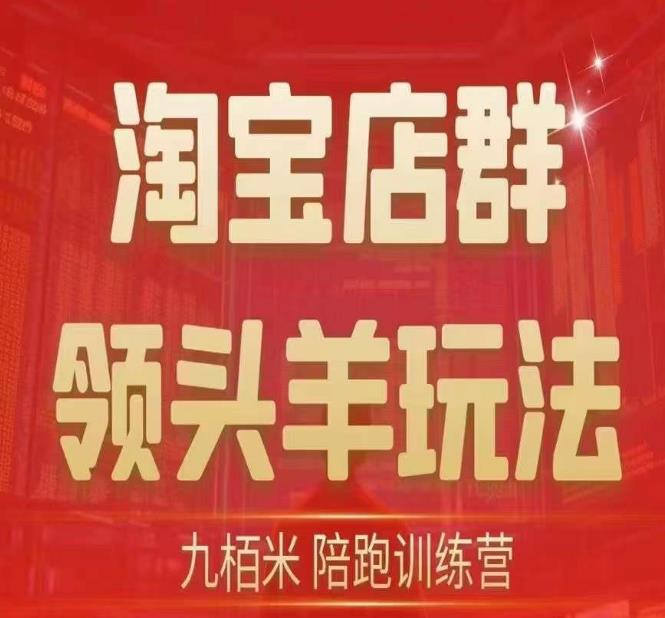 九栢米-淘宝店群领头羊玩法，教你整个淘宝店群领头羊玩法以及精细化/终极蓝海/尾销等内容-林文副业站