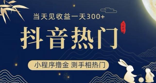 抖音最新小程序撸金，测手相上热门，当天见收益一小时变现300+【揭秘】-林文副业站