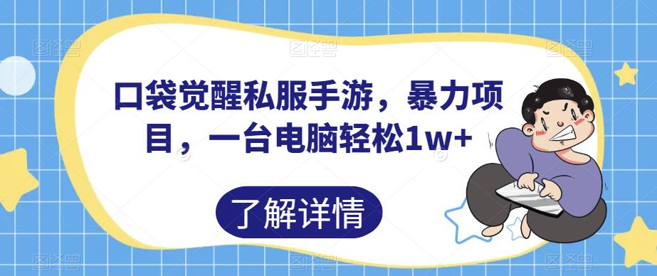 口袋觉醒私服手游，暴力项目，一台电脑轻松1w+【揭秘】-林文副业站