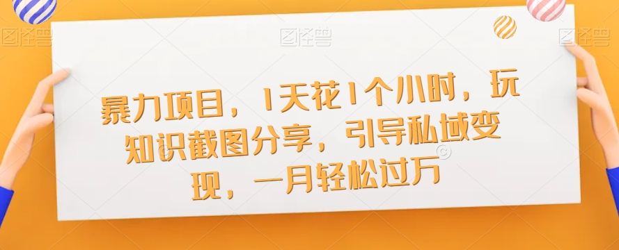 暴力项目，1天花1个小时，玩知识截图分享，引导私域变现，一月轻松过万【截图】-林文副业站