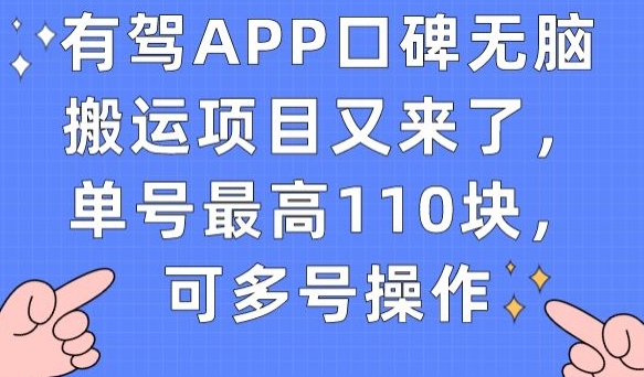 有驾APP口碑无脑搬运项目又来了，单号最高110块，可多号操作-林文副业站