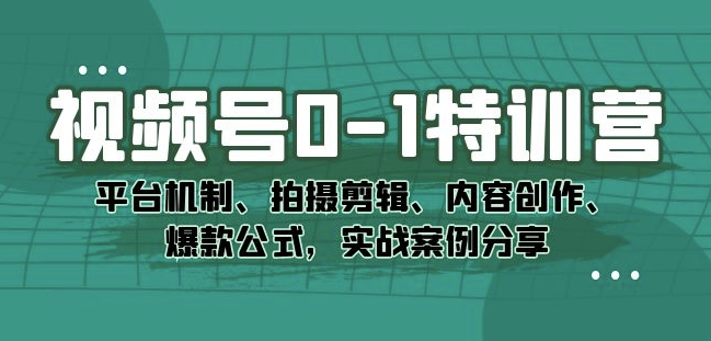 视频号0-1特训营：平台机制、拍摄剪辑、内容创作、爆款公式，实战案例分享-林文副业站