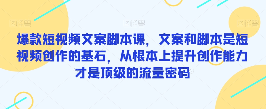 爆款短视频文案脚本课，文案和脚本是短视频创作的基石，从根本上提升创作能力才是顶级的流量密码-林文副业站