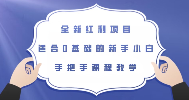 全新红利项目，适合0基础的新手小白，手把手课程教学【揭秘】-林文副业站