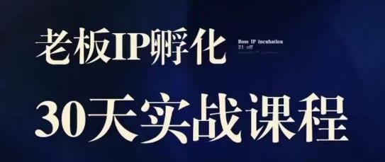 诸葛·2023老板IP实战课，实体同城引流获客，IP孵化必听-林文副业站