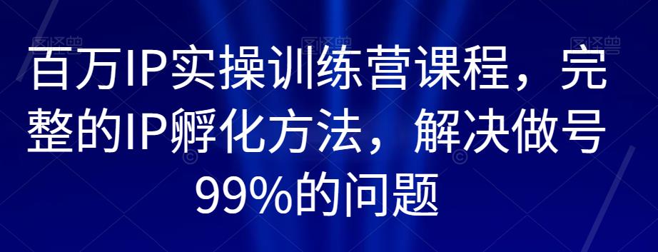 百万IP实操训练营课程，完整的IP孵化方法，解决做号99%的问题-林文副业站