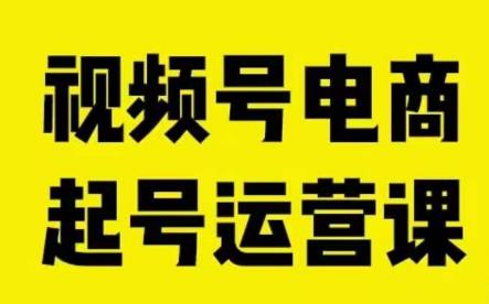 视频号电商起号运营课，教新人如何自然流起号，助力商家0-1突破-林文副业站