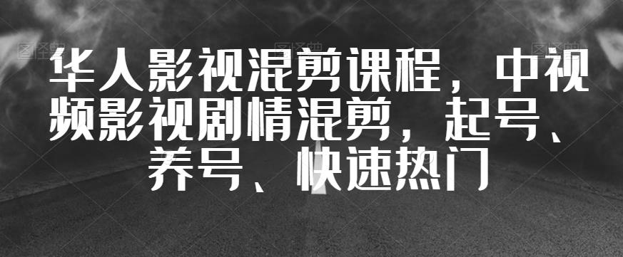 华人影视混剪课程，中视频影视剧情混剪，起号、养号、快速热门-林文副业站
