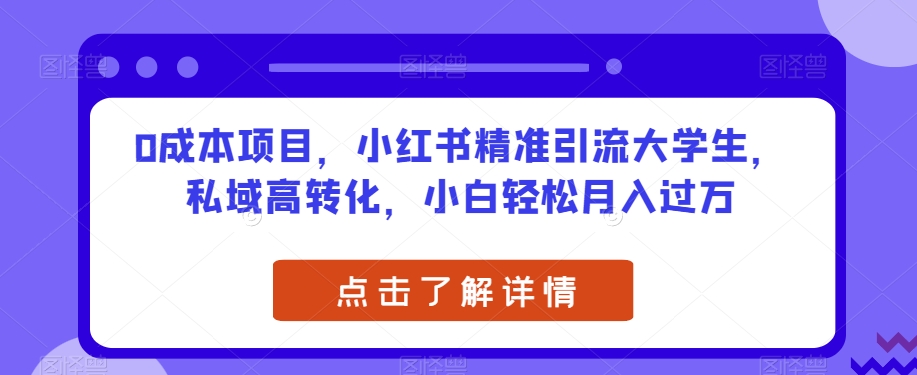 0成本项目，小红书精准引流大学生，私域高转化，小白轻松月入过万【揭秘】-林文副业站