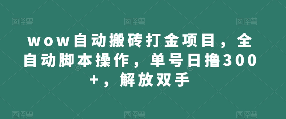 wow自动搬砖打金项目，全自动脚本操作，单号日撸300+，解放双手【揭秘】-林文副业站