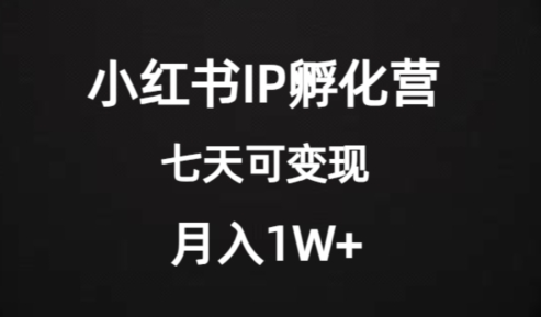 价值2000+的小红书IP孵化营项目，超级大蓝海，七天即可开始变现，稳定月入1W+-林文副业站