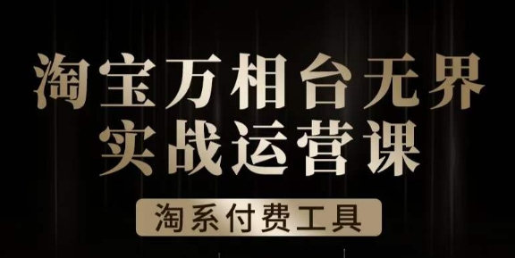 沧海·淘系万相台无界实战运营课，万相台无界实操全案例解析-林文副业站