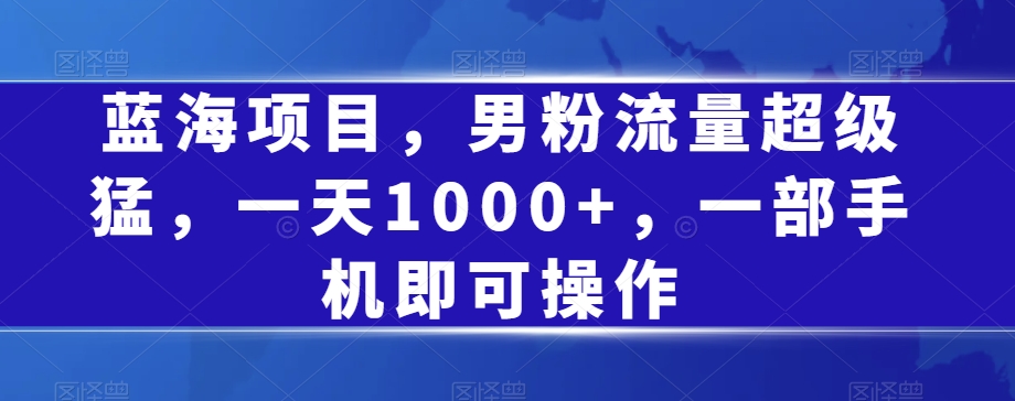 蓝海项目，男粉流量超级猛，一天1000+，一部手机即可操作【揭秘】-林文副业站