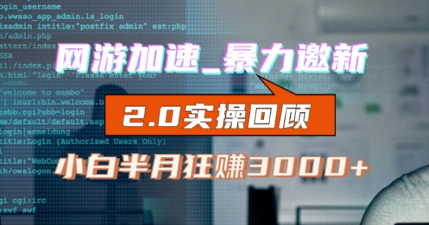 网游加速邀新，狂吃提成，适合小白，首月破千（v2.0版教程）【揭秘】-林文副业站
