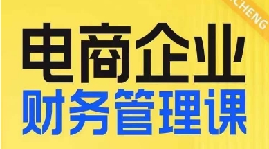 电商企业财务管理线上课，为电商企业规划财税-林文副业站