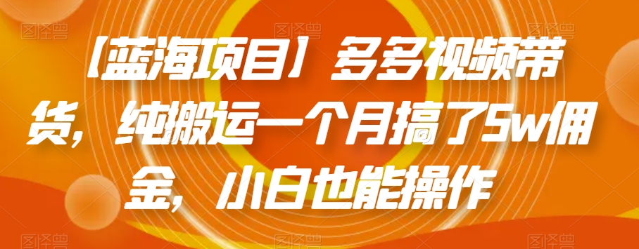【蓝海项目】多多视频带货，纯搬运一个月搞了5w佣金，小白也能操作【揭秘】-林文副业站