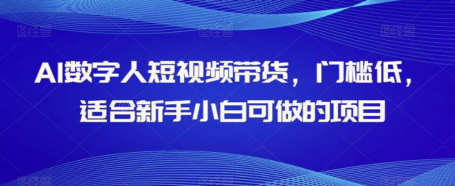 AI数字人短视频带货，门槛低，适合新手小白可做的项目-林文副业站