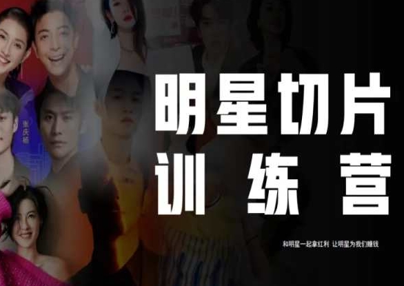 王子·明星切片线上训练营（2023），和明星一起拿红利，让明星为我们赚钱-林文副业站