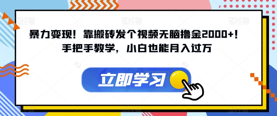 暴力变现！靠搬砖发个视频无脑撸金2000+！手把手教学，小白也能月入过万【揭秘】-林文副业站