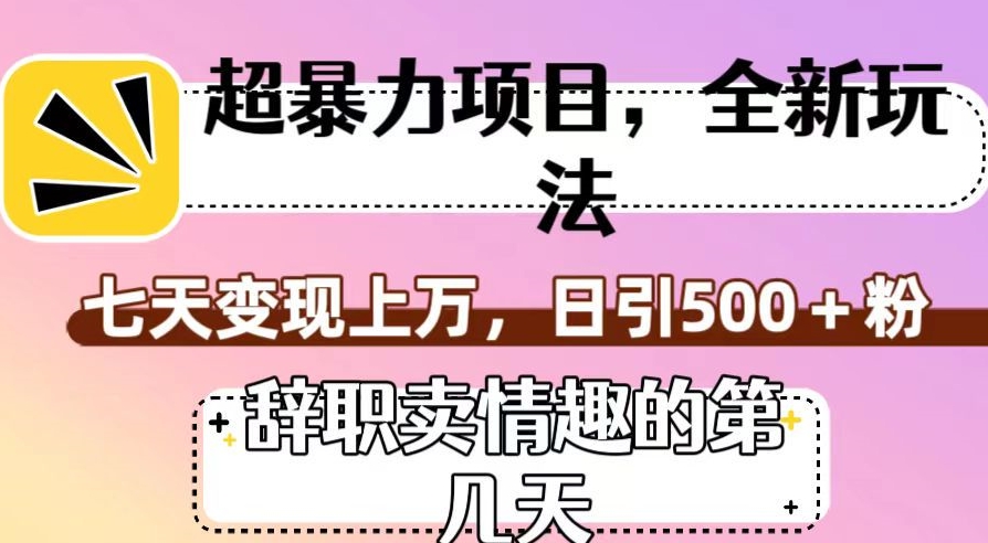 超暴利项目，全新玩法（辞职卖情趣的第几天），七天变现上万，日引500+粉【揭秘】-林文副业站