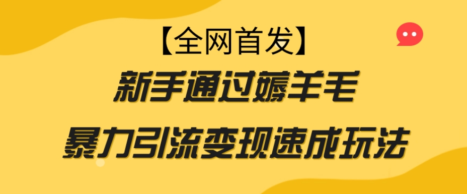 【全网首发】新手通过薅羊毛暴力引流变现速成玩法-林文副业站