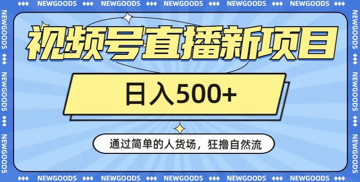 视频号直播新项目，通过简单的人货场，狂撸自然流，日入500+【260G资料】-林文副业站