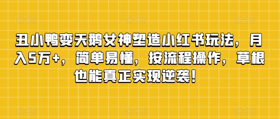 丑小鸭变天鹅女神塑造小红书玩法，月入5万+，简单易懂，按流程操作，草根也能真正实现逆袭！-林文副业站