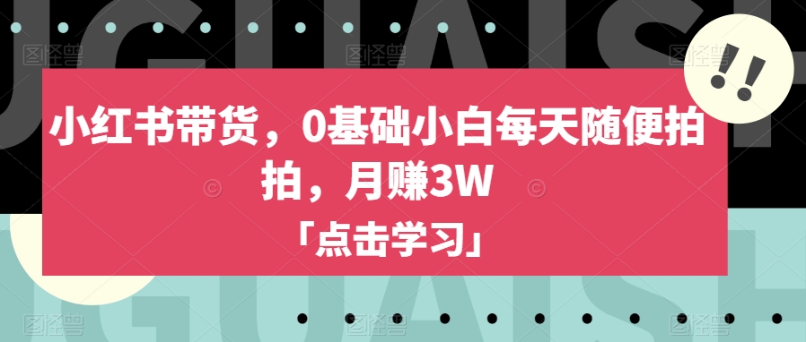 小红书带货，0基础小白每天随便拍拍，月赚3W【揭秘】-林文副业站