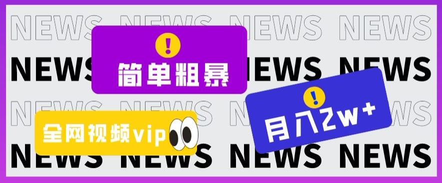 简单粗暴零成本，高回报，全网视频VIP掘金项目，月入2万＋【揭秘】-林文副业站