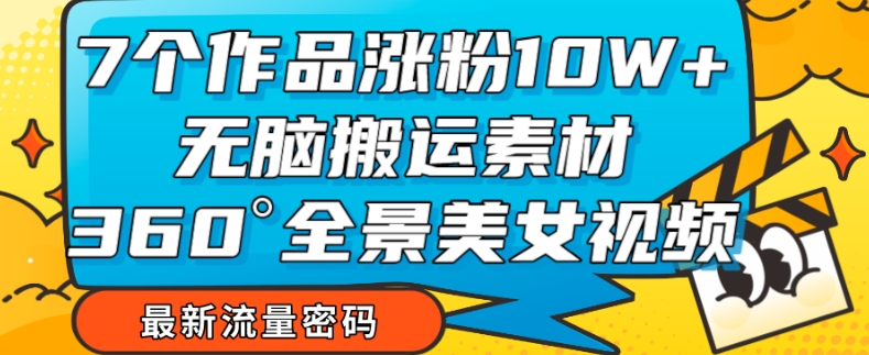 7个作品涨粉10W+，无脑搬运素材，全景美女视频爆款玩法分享【揭秘】-林文副业站