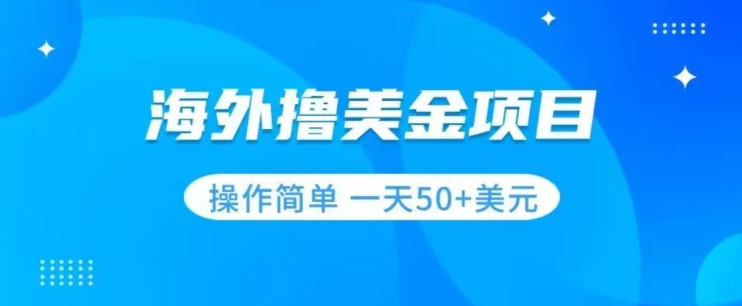 撸美金项目无门槛操作简单小白一天50+美刀-林文副业站