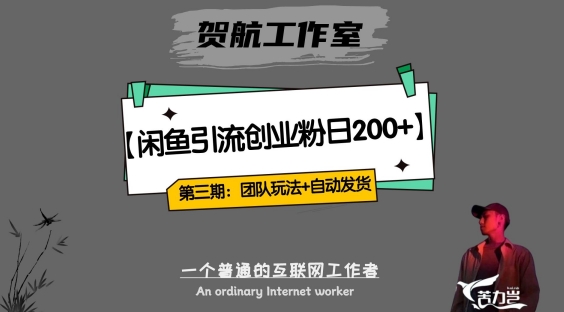 第三期：暴力引流，无脑搬运，闲鱼创业粉引流一天200+，更新全自动发货的团队闭环模式【揭秘】-林文副业站