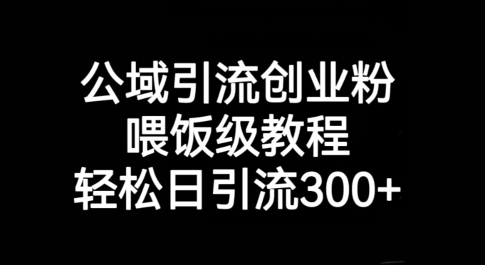 公域引流创业粉，喂饭级教程，轻松日引流300+【揭秘】-林文副业站