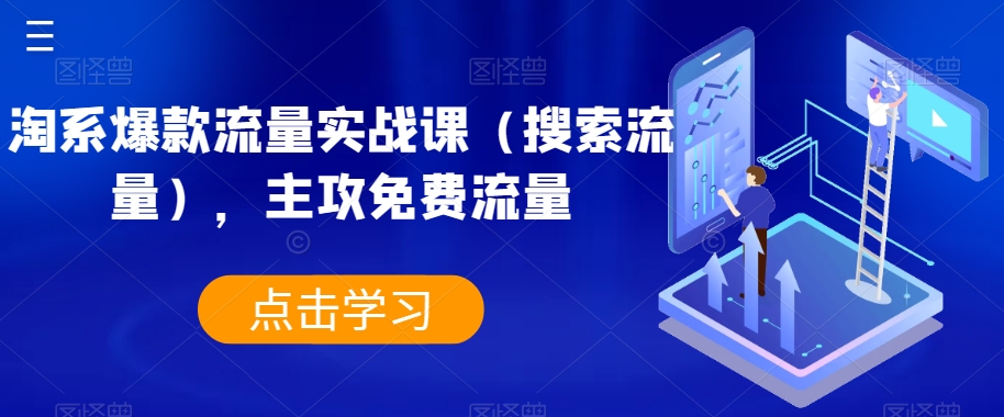 淘系爆款流量实战课（搜索流量），主攻免费流量-林文副业站