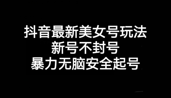 抖音最新美女号玩法，新号不封号，暴力无脑安全起号【揭秘】-林文副业站