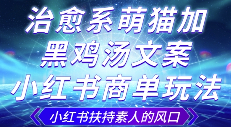 治愈系萌猫加+黑鸡汤文案，小红书商单玩法，3~10天涨到1000粉，一单200左右-林文副业站