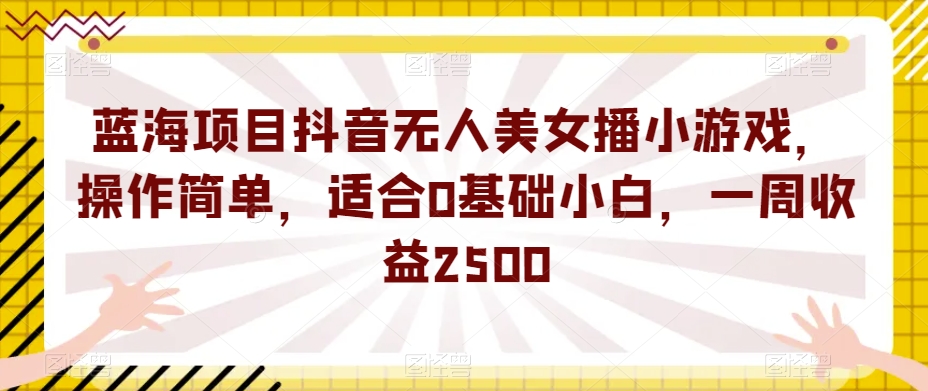 蓝海项目抖音无人美女播小游戏，操作简单，适合0基础小白，一周收益2500【揭秘】-林文副业站
