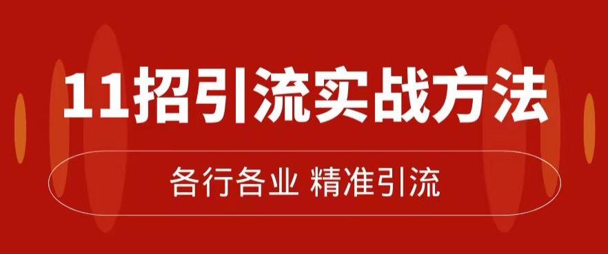 精准引流术：11招引流实战方法，让你私域流量加到爆（11节课完整)-林文副业站