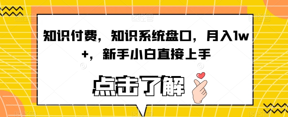 知识付费，知识系统盘口，月入1w+，新手小白直接上手-林文副业站