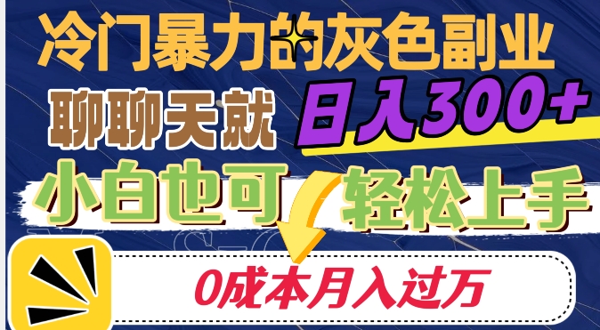 冷门暴利的副业项目，聊聊天就能日入300+，0成本月入过万【揭秘】-林文副业站
