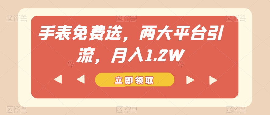 手表免费送，两大平台引流，月入1.2W【揭秘】-林文副业站