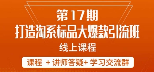 南掌柜-第17期打造淘系标品大爆款，5天线上课-林文副业站