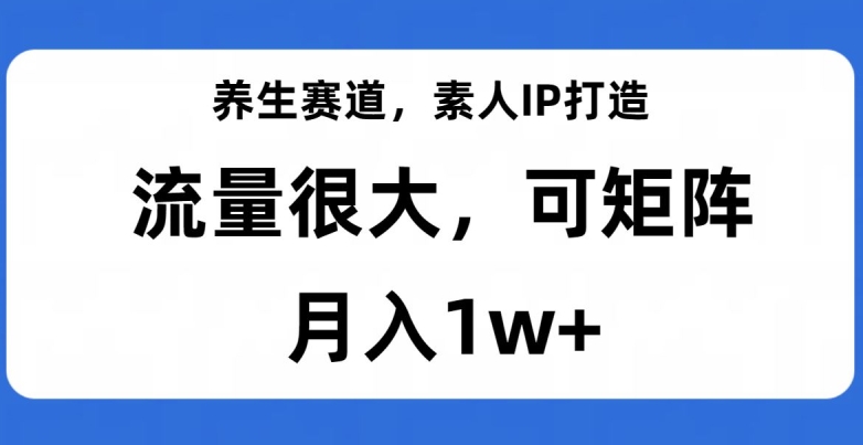 养生赛道，素人IP打造，流量很大，可矩阵，月入1w+【揭秘】-林文副业站